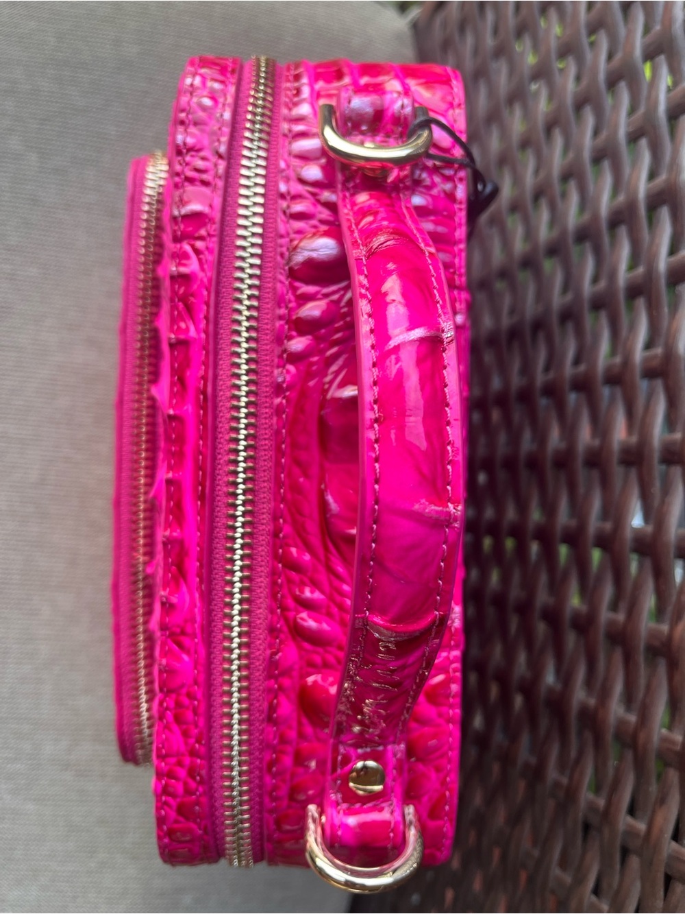 NWT BRAHMIN TORI in AFFECTION MELBOURNE OMBRE - Picture 6 of 17